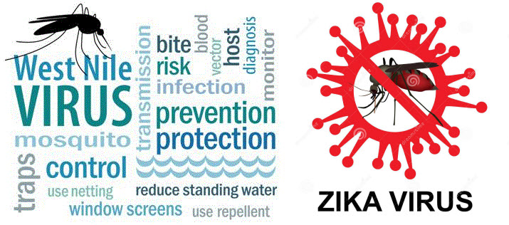 west nile virus and zika virus avoidance