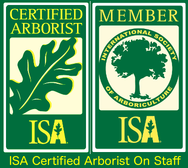 Certified Arborist International Society of Arboriculture