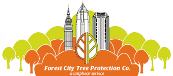 Forest City Tree Protection Company, A Lanphear Service